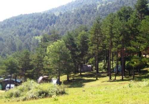 Campament Juvenil Sant Joan de l'Avellanet