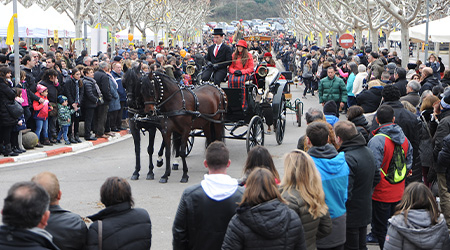 corrda pixels - copia.jpg