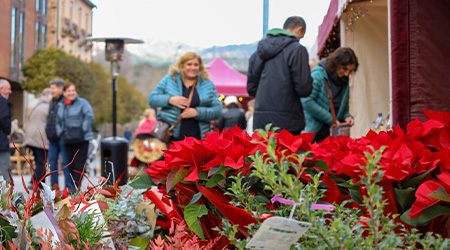 mercat de nadal de cal rosal.jpg